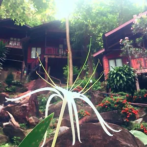 Hill Koh Phi Phi Don